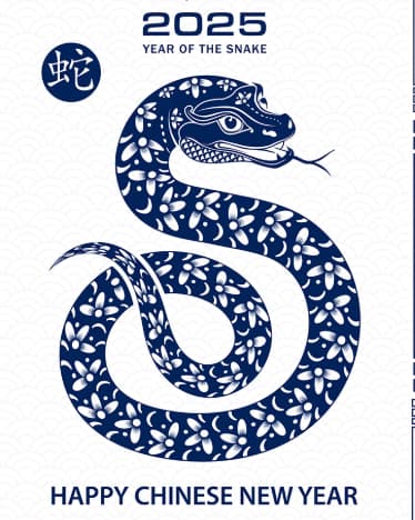  Chinese New Year  is approaching